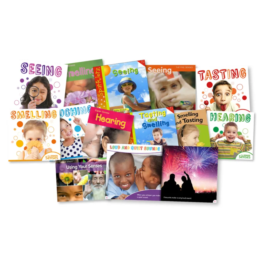KS1 My Senses Books 12pk