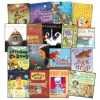 KS2 Picture Books 17pk