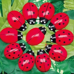 Ladybird Counters and Cards