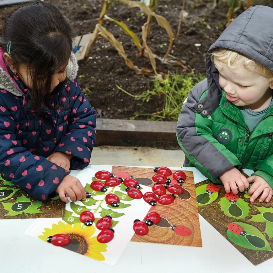 Ladybird Counters and Cards