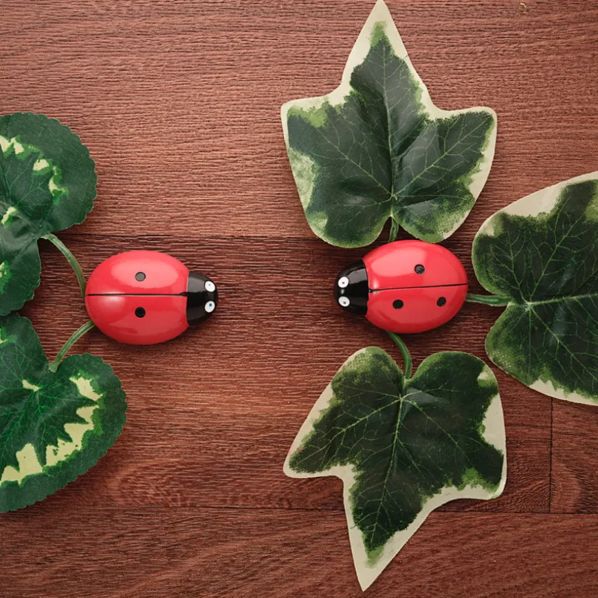 Ladybird Counters and Cards