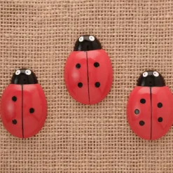Ladybird Counters and Cards