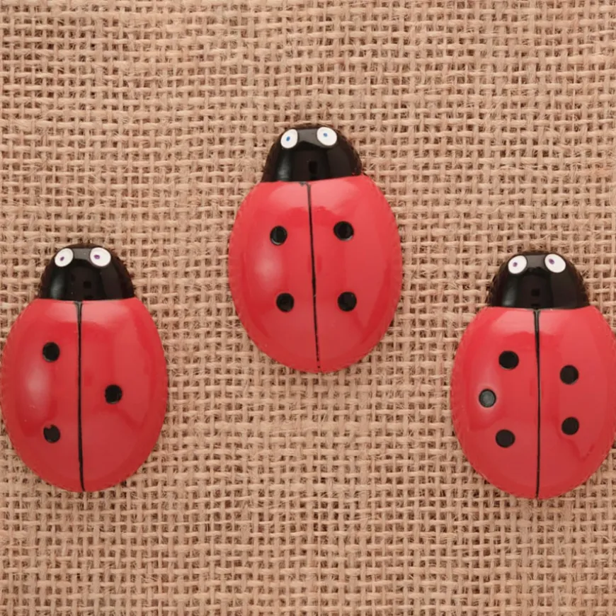 Ladybird Counters and Cards