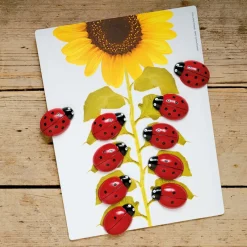 Ladybird Counters and Cards