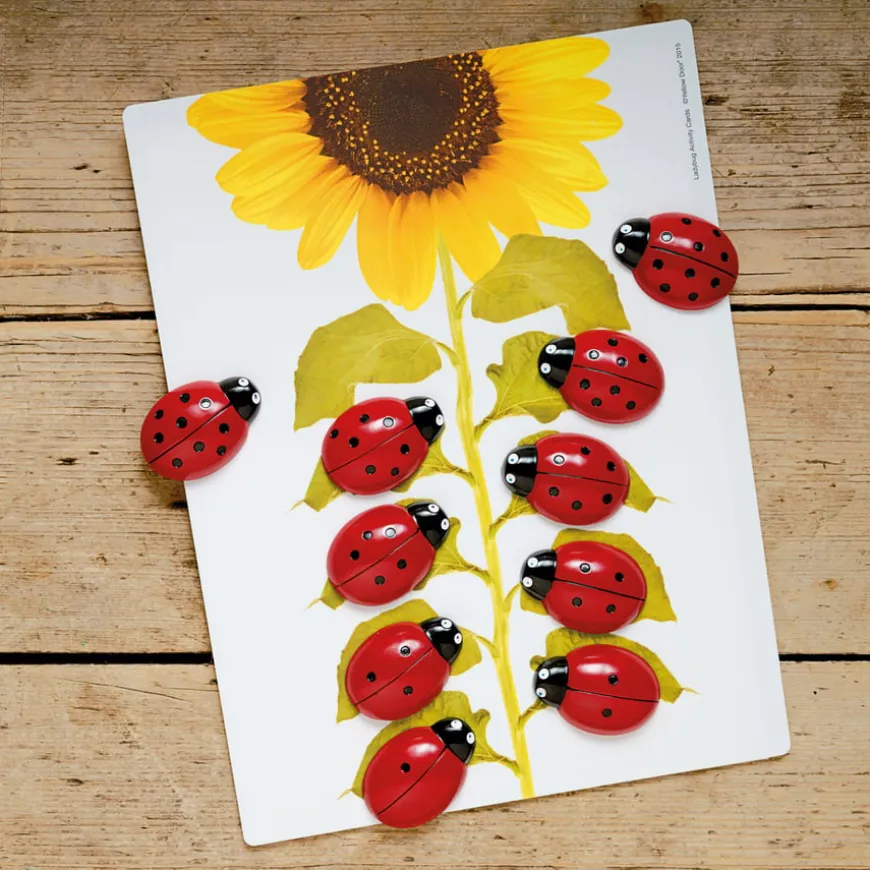 Ladybird Counters and Cards