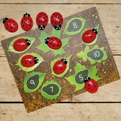 Ladybird Counters and Cards
