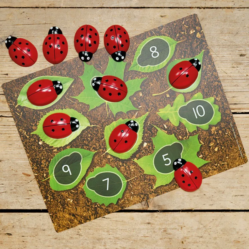 Ladybird Counters and Cards