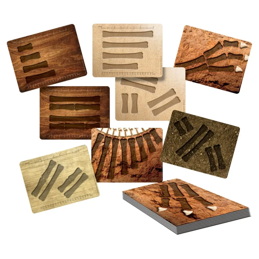Large Dinosaur Bones Match and Measure Bones Set