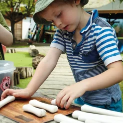 Large Dinosaur Bones Match and Measure Bones Set