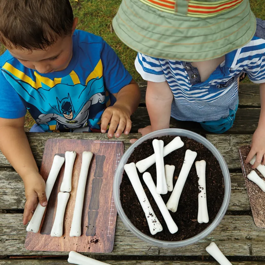 Large Dinosaur Bones Match and Measure Bones Set