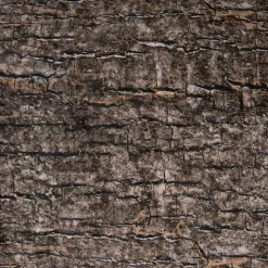 Learn about Nature Tree Stump Seat