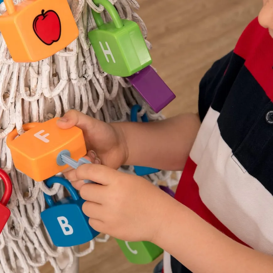 Learning Locks Padlock and Keys Matching