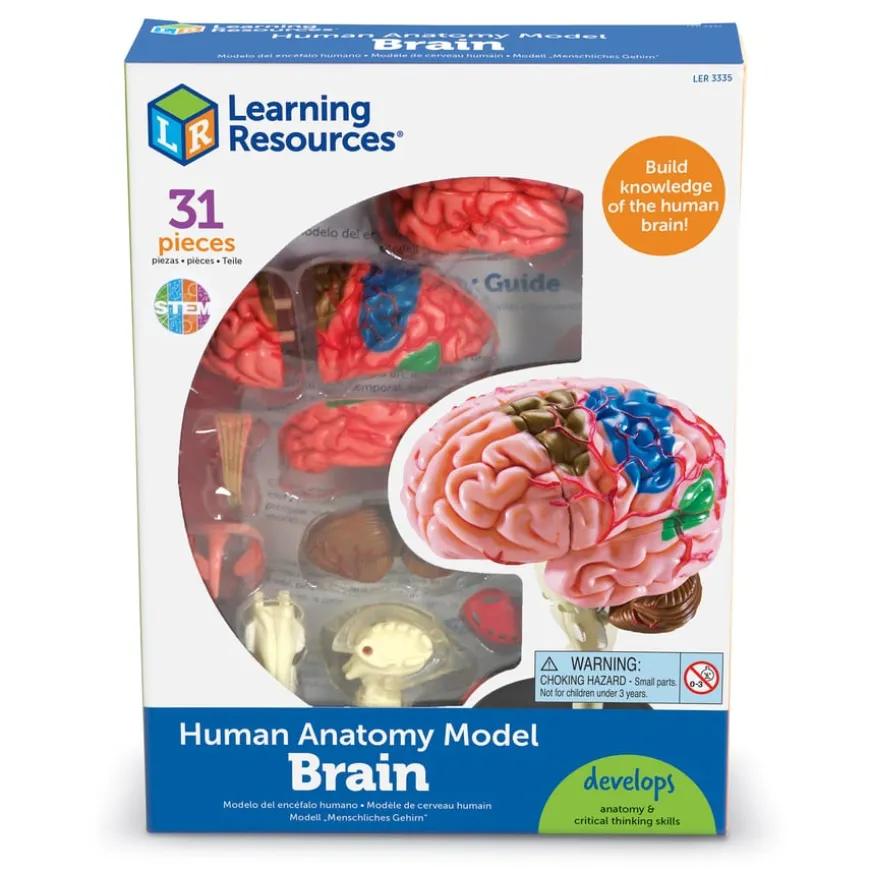 Learning Resources Complete Anatomy Models