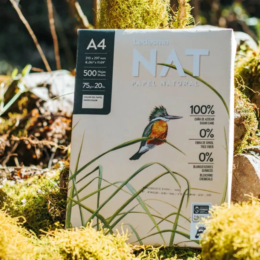Ledesma A4 NAT Copier Paper 75gsm 5 Reams