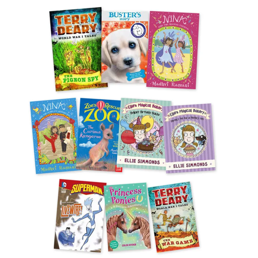 Level 12 Brown Book Bands 20pk