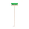 Long Handled Brush