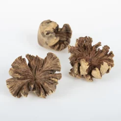 Loose Parts Natural Wood Roses 3pk