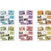 Major World Faith Curriculum 156pk