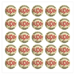 Motivational Reward Praise Stickers 1149pk