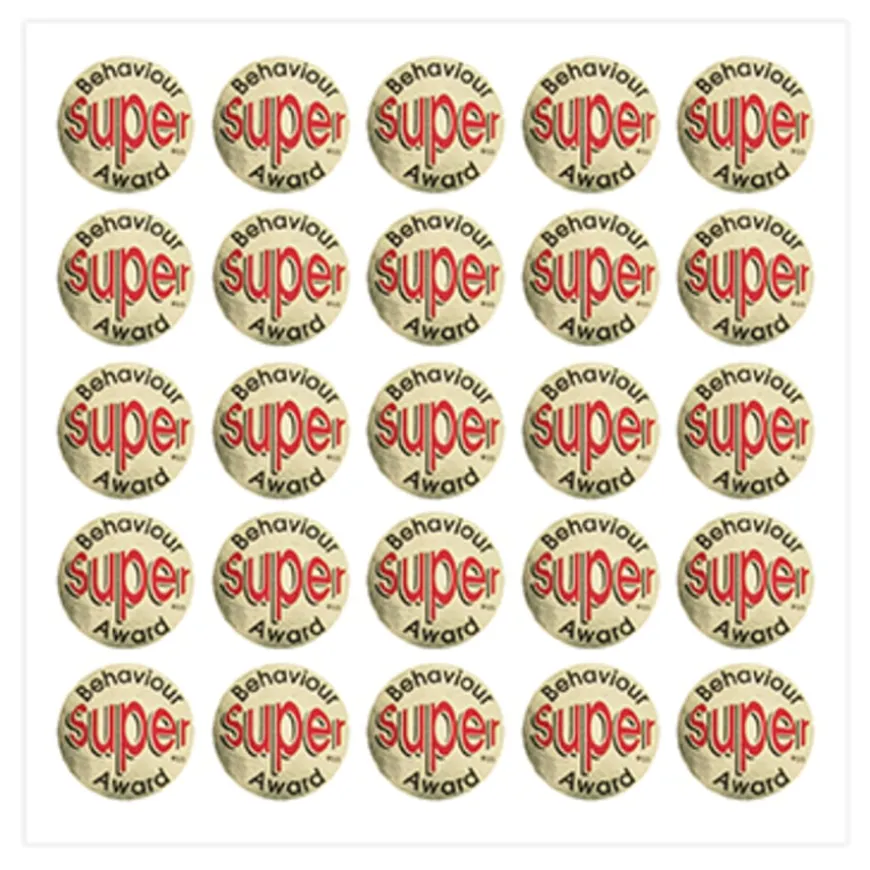 Motivational Reward Praise Stickers 1149pk