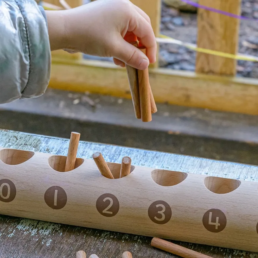 Natural Counting Log