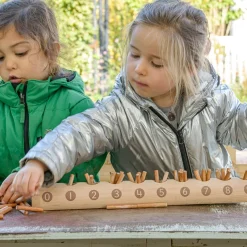 Natural Counting Log
