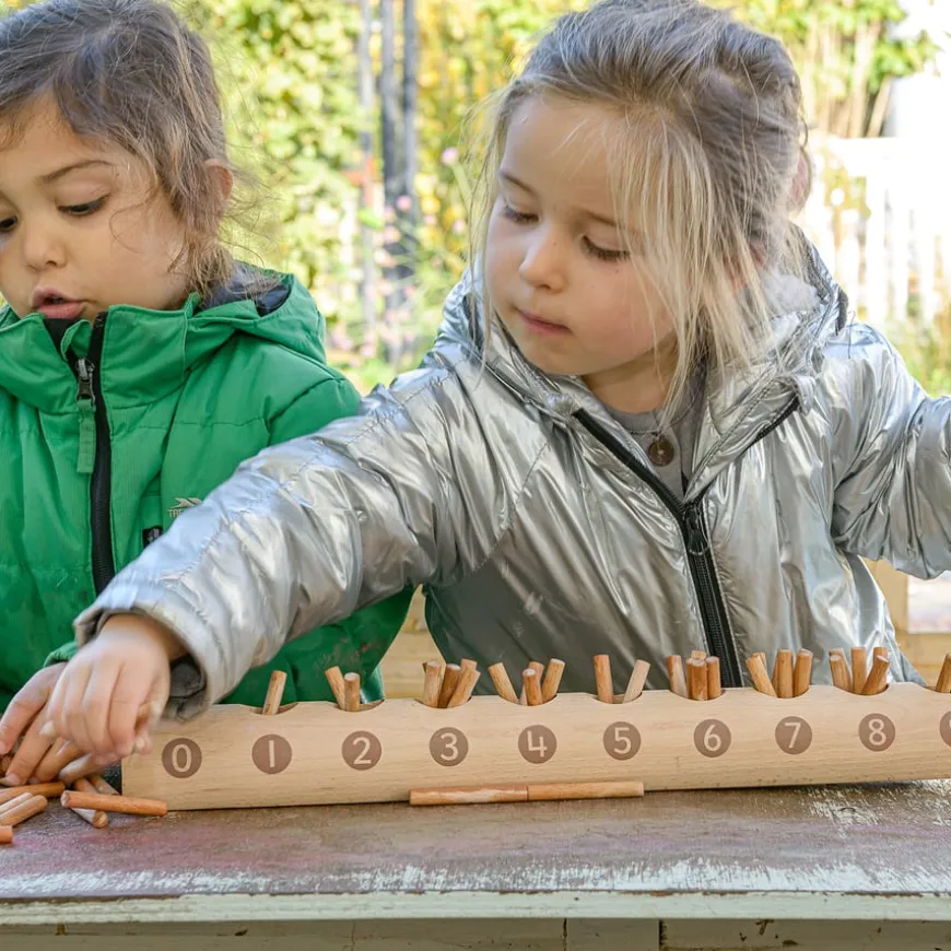 Natural Counting Log