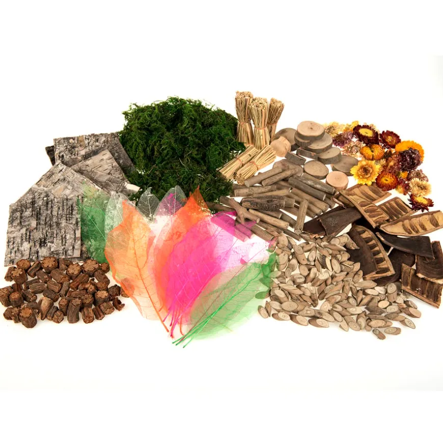 Natural Craft and Collage Classroom Pack