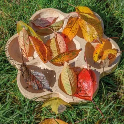 Natural Flower Sorting Tray