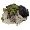 Natural Moss 3pk