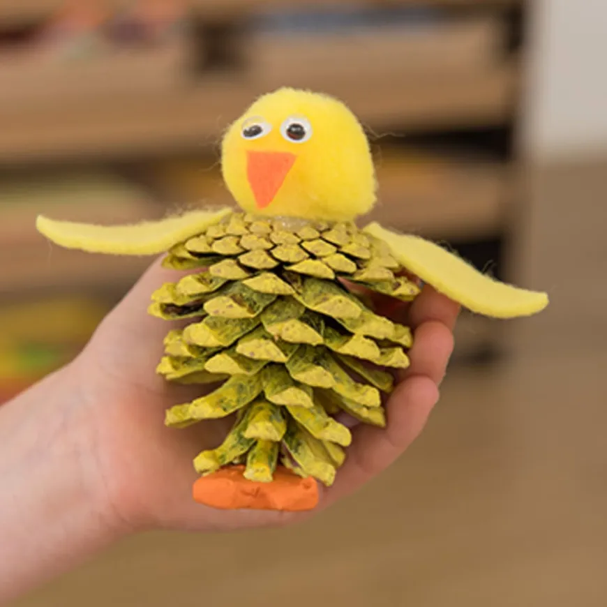 Natural Pine Cones 500g