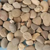 Natural River Stones 2kg