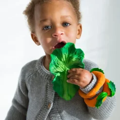 Natural Rubber Toddler Fruit & Veg Chewables