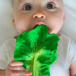 Natural Rubber Toddler Fruit & Veg Chewables