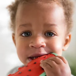 Natural Rubber Toddler Fruit & Veg Chewables