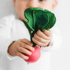 Natural Rubber Toddler Fruit & Veg Chewables