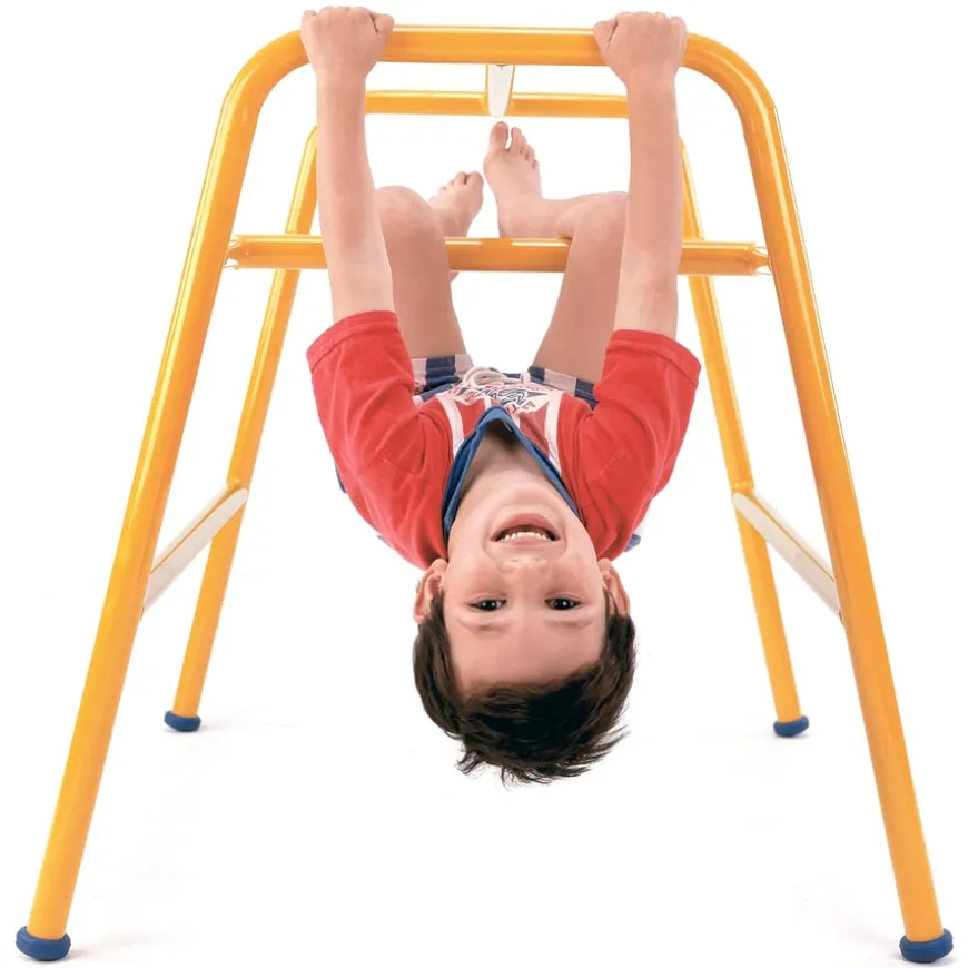 Niels Larsen Complete Gym Time Gymnastics Apparatus Pack