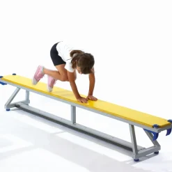 Niels Larsen Lita Lightweight Aluminium Gym Benches 2.4m
