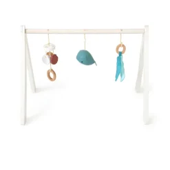 Ocean Collection Baby Activity Gym & Accessories