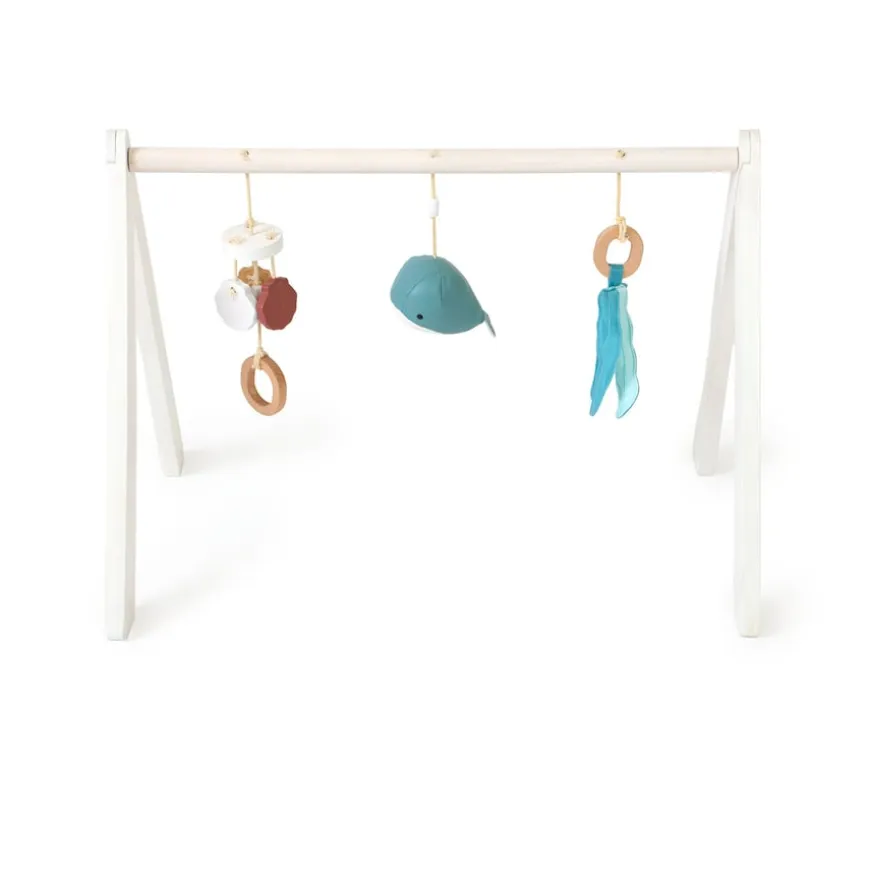 Ocean Collection Baby Activity Gym & Accessories