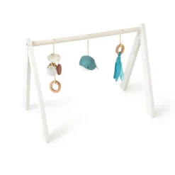 Ocean Collection Baby Activity Gym & Accessories