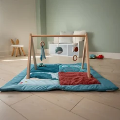 Ocean Collection Baby Activity Gym & Accessories