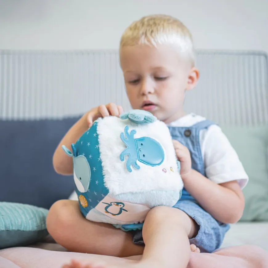 Ocean Collection Baby Activity Cube