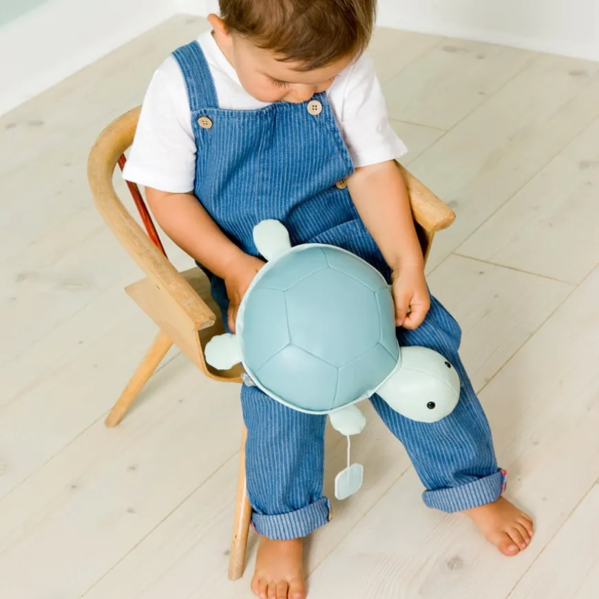 Ocean Collection Musical Animals Turtle Friend