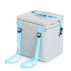 Oti-Bot Storage Bag with two Oti-Bot Robots