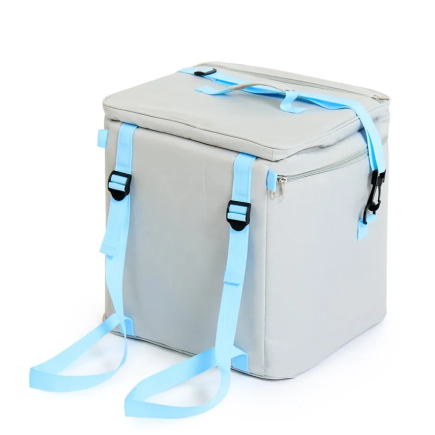 Oti-Bot Storage Bag with two Oti-Bot Robots