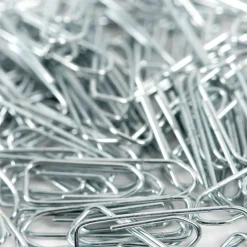 Paper Clips 100pk