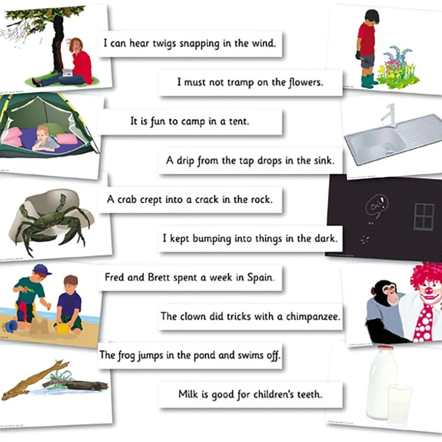 Phase 4 - Sentences Matching