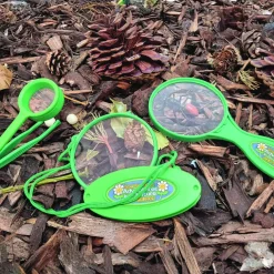Plant and Bug Hunting Kit