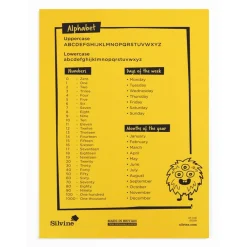 Primary Dictionary Book 30pk